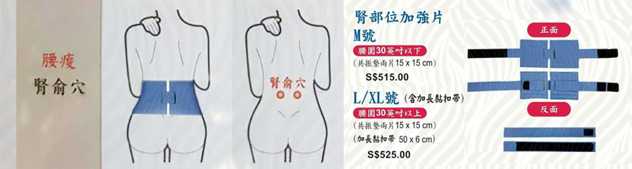 Resonance Kidney Plate with Acupuncture points around Kidneys Area